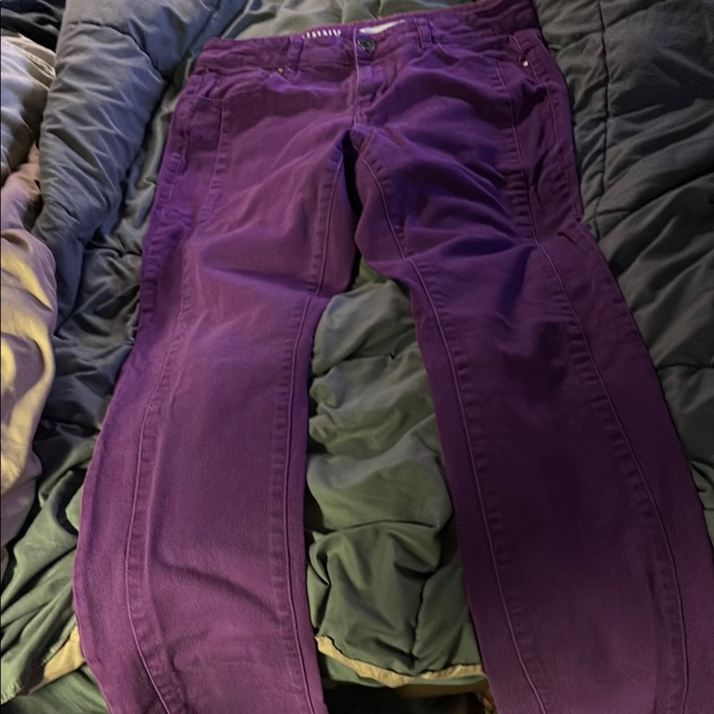 Purple Pants